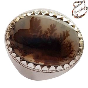 عقیق شجر رکاب احمد ری