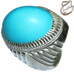 فیروزه نیشابوری رکاب فدیوم