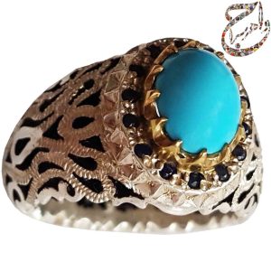 فیروزه عجمی نیشابوری رکاب استاد رحمانی